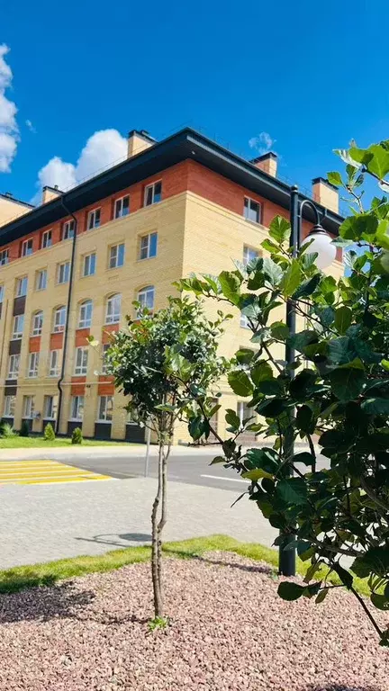 1-к. квартира, 45,5 м, 5/5 эт. - Фото 1
