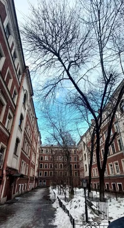 1-к кв. Санкт-Петербург Невский просп., 84-86Б (30.0 м) - Фото 1