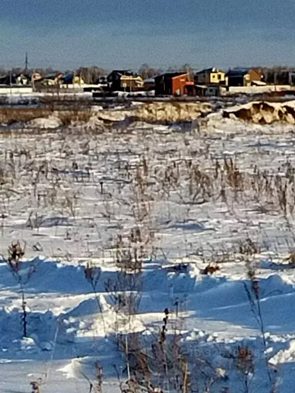 Участок в Омская область, Омский район муниципальный округ, с. ... - Фото 2