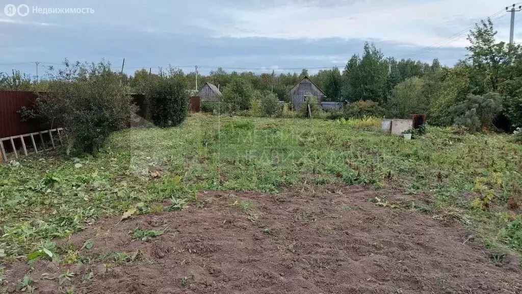 Участок в Тюменский район, СНТ Маяк, Фруктовая улица (7.46 м) - Фото 1