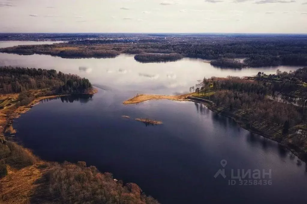 Участок в Новгородская область, Валдайский район, Рощинское с/пос, д. ... - Фото 0