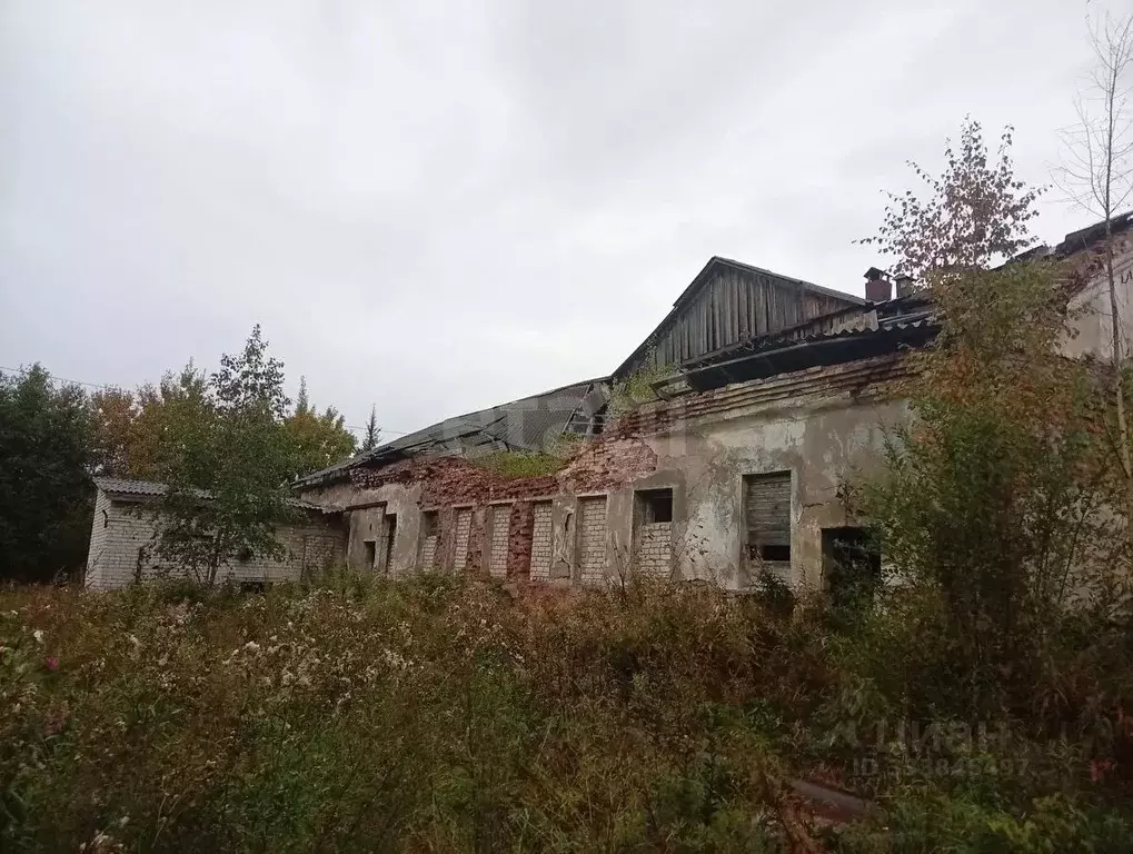 Помещение свободного назначения в Карелия, Суоярви ул. Нухи Идрисова, ... - Фото 1