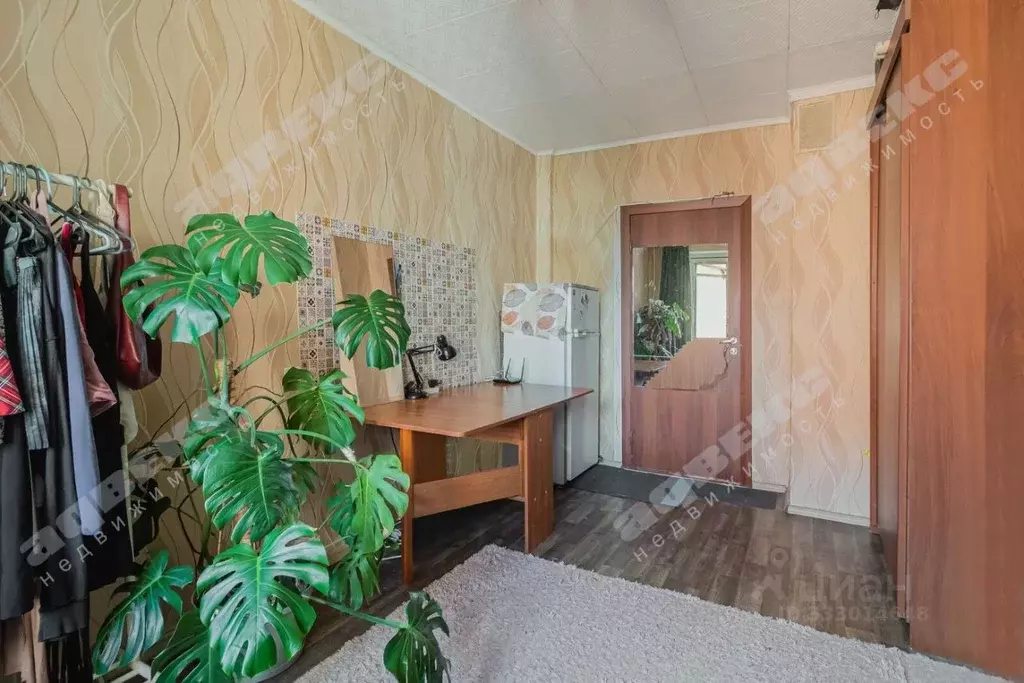 Комната Санкт-Петербург просп. Ударников, 49к1 (11.7 м) - Фото 1