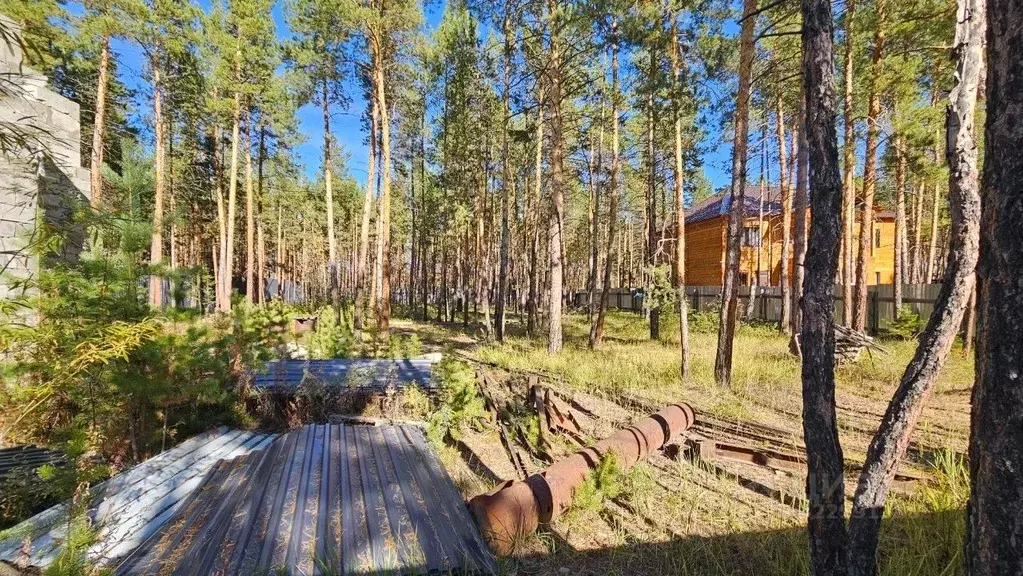 Участок в Саха (Якутия), Якутск ул. Три Сосны (10.0 сот.) - Фото 2
