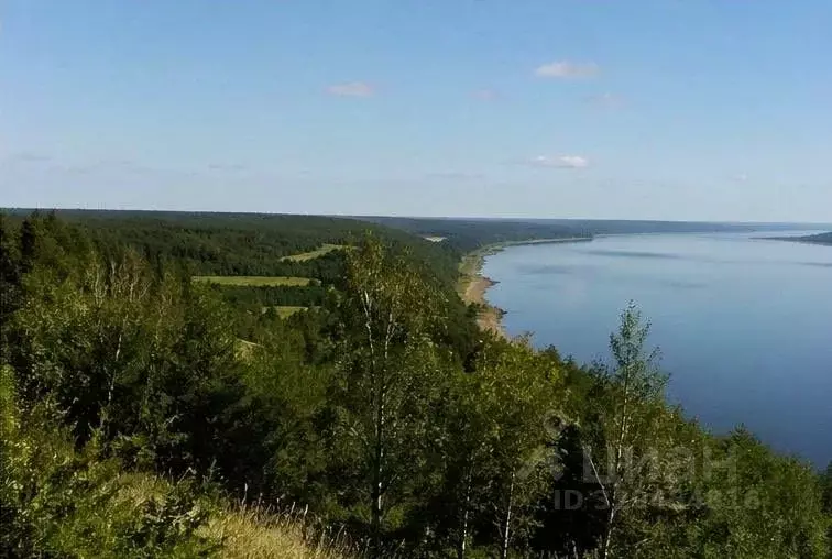 Участок в Нижегородская область, Сокольский муниципальный округ, д. ... - Фото 1