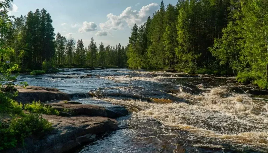 Участок в Карелия, Питкярантский муниципальный округ, д. Острова ... - Фото 1