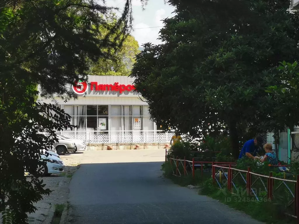 2-к кв. Краснодарский край, Сочи городской округ, Дагомыс пгт ш. ... - Фото 2