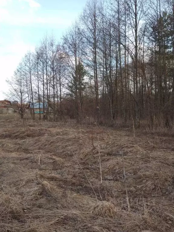 Участок в Владимирская область, Гороховецкий муниципальный округ, д. ... - Фото 2