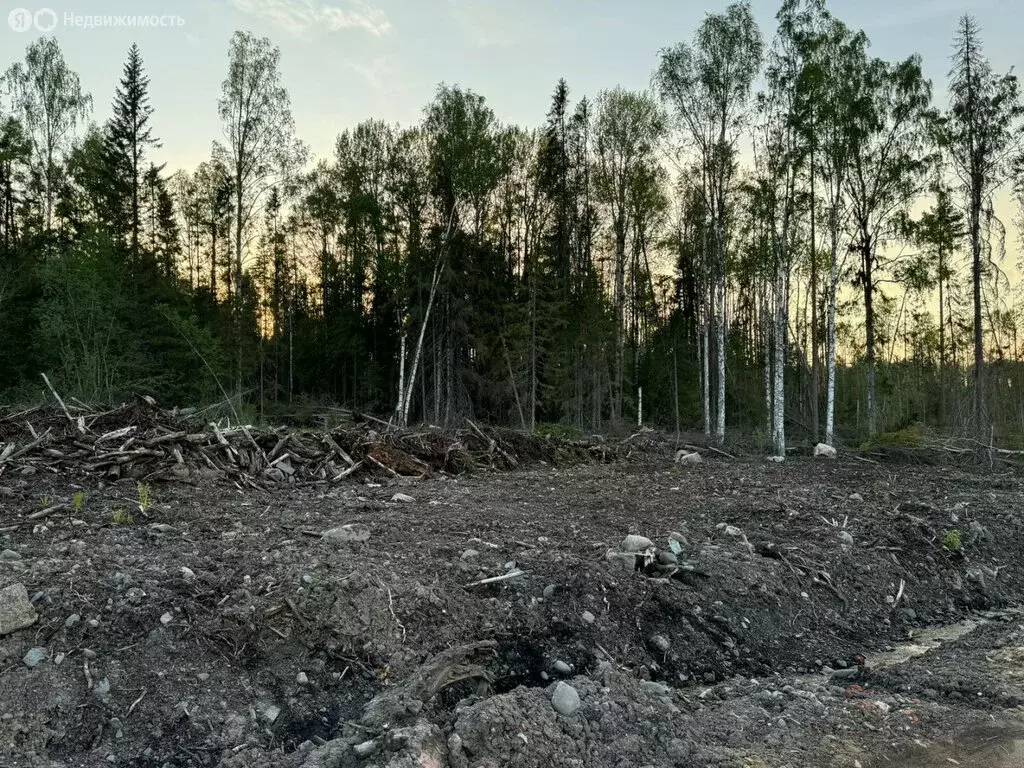 Участок в Прионежский район, Деревянское сельское поселение, деревня ... - Фото 1