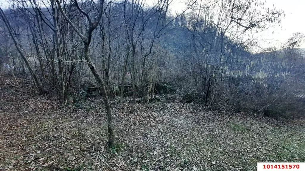 Участок в Агой, Горная улица (9.7 м) - Фото 1