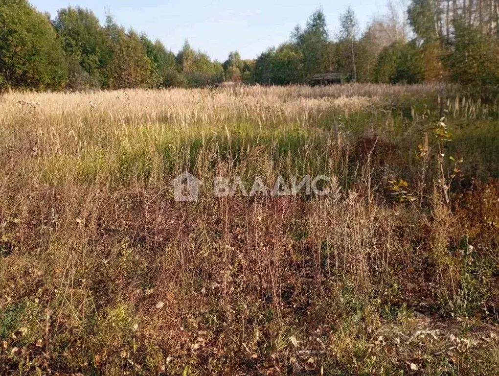 Участок в Владимирская область, Суздальский район, Селецкое ... - Фото 1