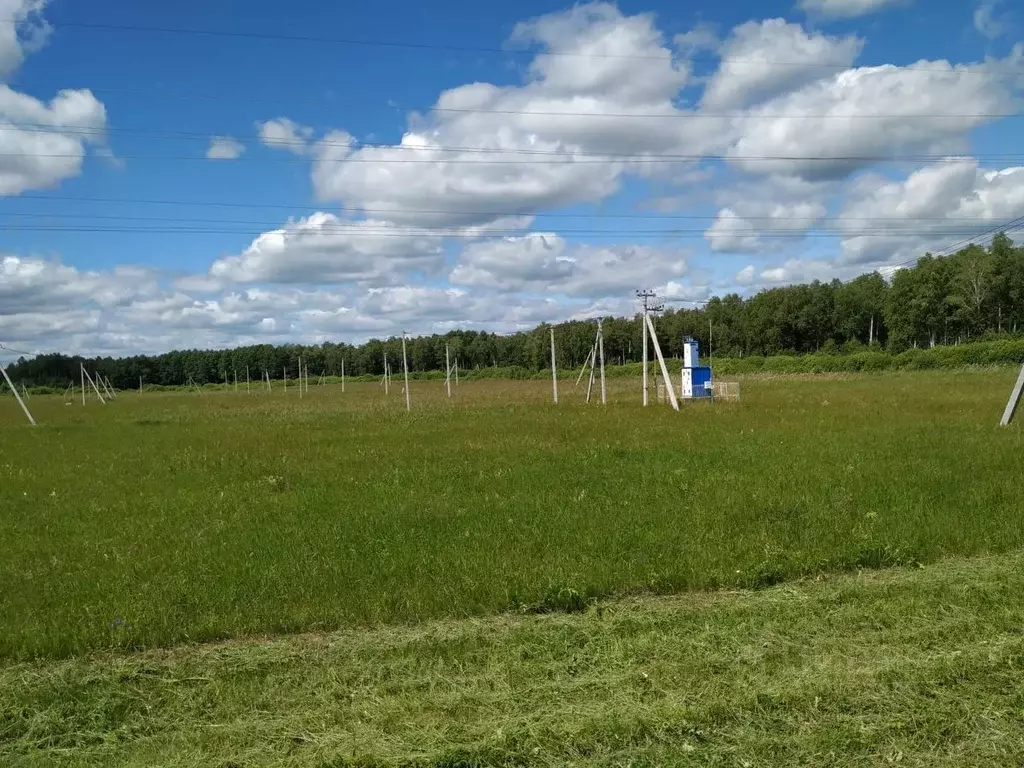 Участок в Тюменская область, Тюменский район, д. Большие Акияры ул. ... - Фото 2