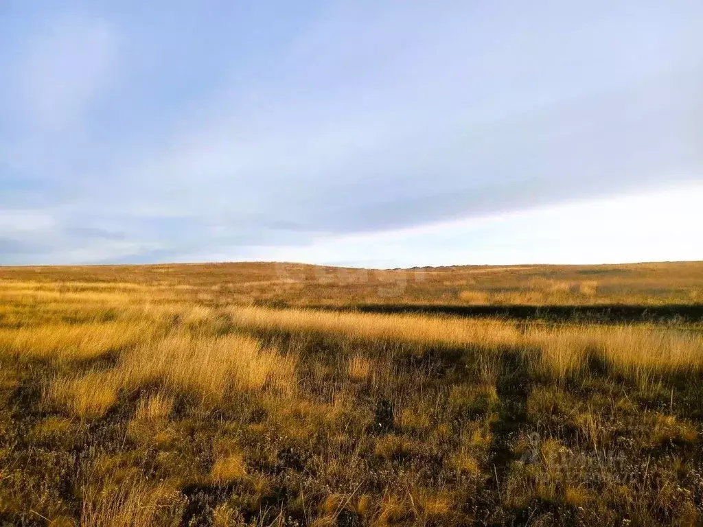 Участок в Крым, Ленинский район, с. Калиновка ул. Шевченко (6.2 сот.) - Фото 0