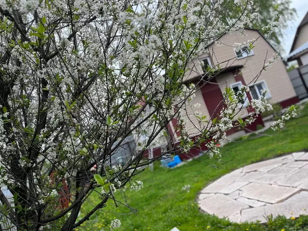 Дом в Новосибирская область, Новосибирск Садовод садовое товарищество, ... - Фото 2