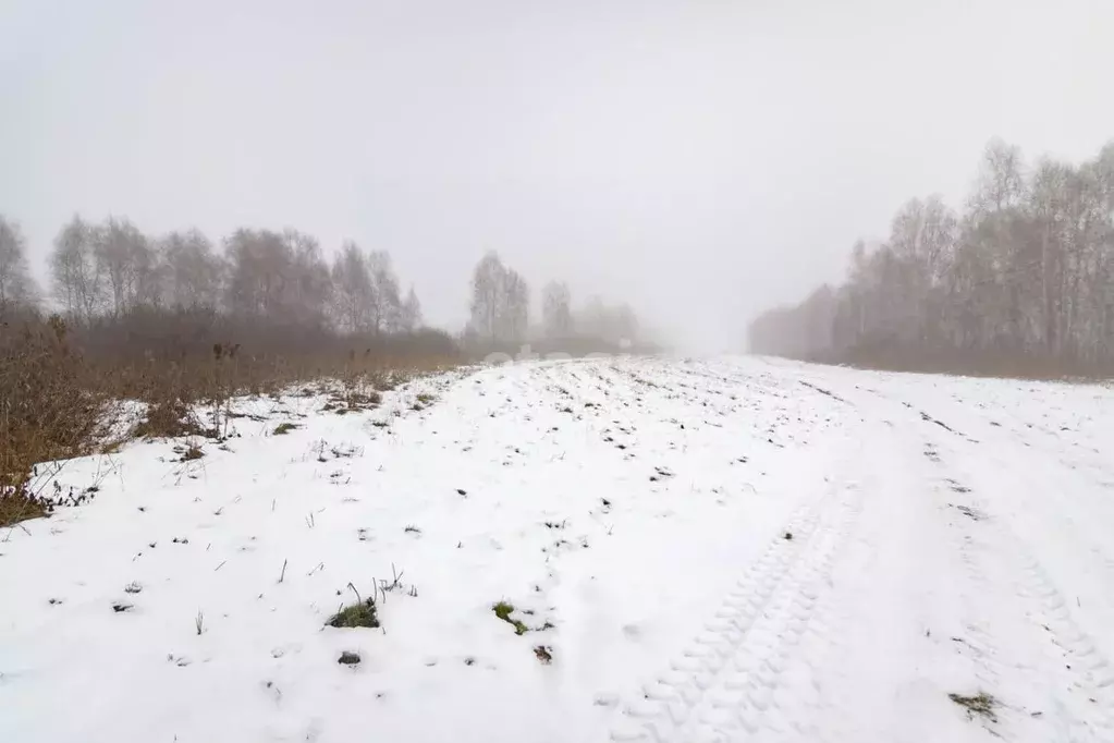 Участок в Тюменская область, Тюмень  (20.0 сот.) - Фото 1