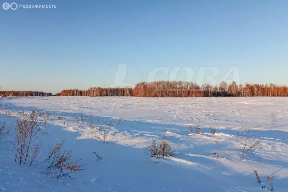 Участок в Тюменский район, Горьковское муниципальное образование (8 м) - Фото 1