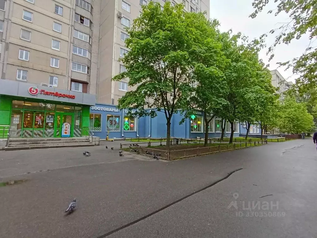 Торговая площадь в Санкт-Петербург просп. Культуры, 25к4 (17 м) - Фото 1
