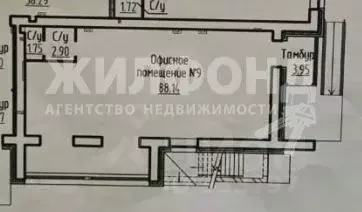 Торговая площадь в Новосибирская область, Новосибирский район, ... - Фото 0