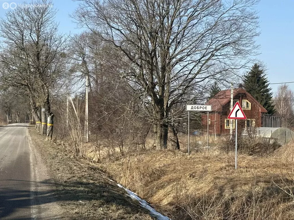 Участок в Калининградская область, Гурьевский муниципальный округ, ... - Фото 1