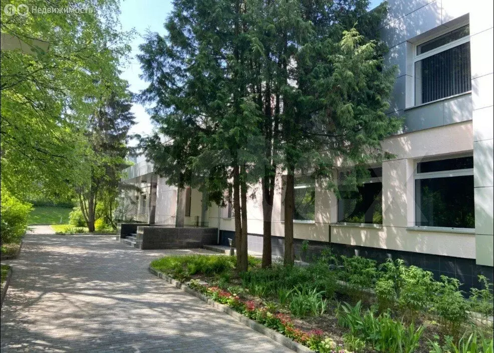 Офис (1685 м) - Фото 2