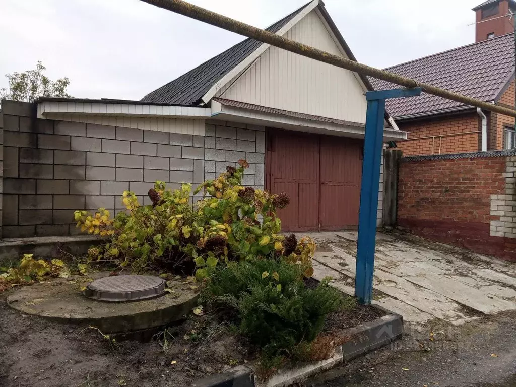 Дом в Белгородская область, Борисовский район, Стригуновское с/пос, с. ... - Фото 2