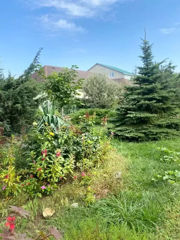 Дом в Краснодарский край, Темрюкский район, Ахтанизовское с/пос, пос. ... - Фото 2