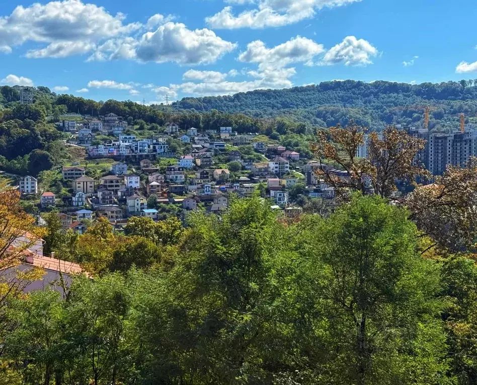 3-к кв. Краснодарский край, Сочи Вишневая ул., 36 (65.0 м) - Фото 2