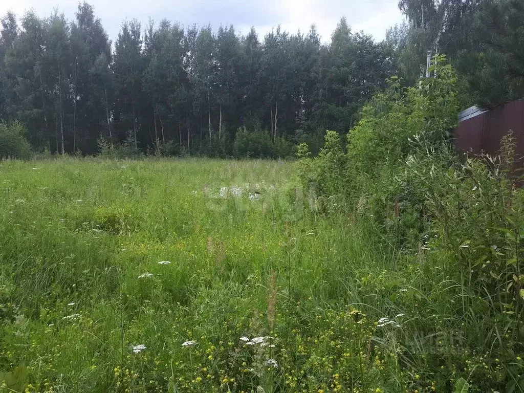 Участок в Ярославская область, Ярославский муниципальный округ, д. ... - Фото 2