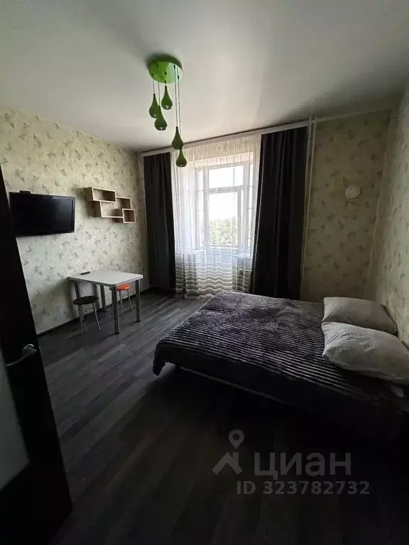 1-к кв. Псковская область, Псков ул. Ижорского Батальона, 57А (26.0 м) - Фото 1