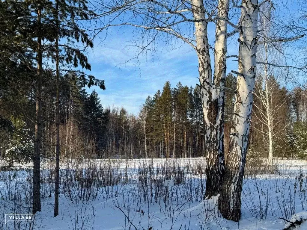 Участок в Свердловская область, Сысертский городской округ, пос. ... - Фото 0