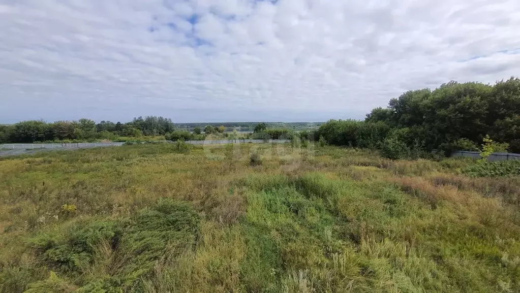 Участок в Курская область, Горшеченский район, Куньевский сельсовет, ... - Фото 1