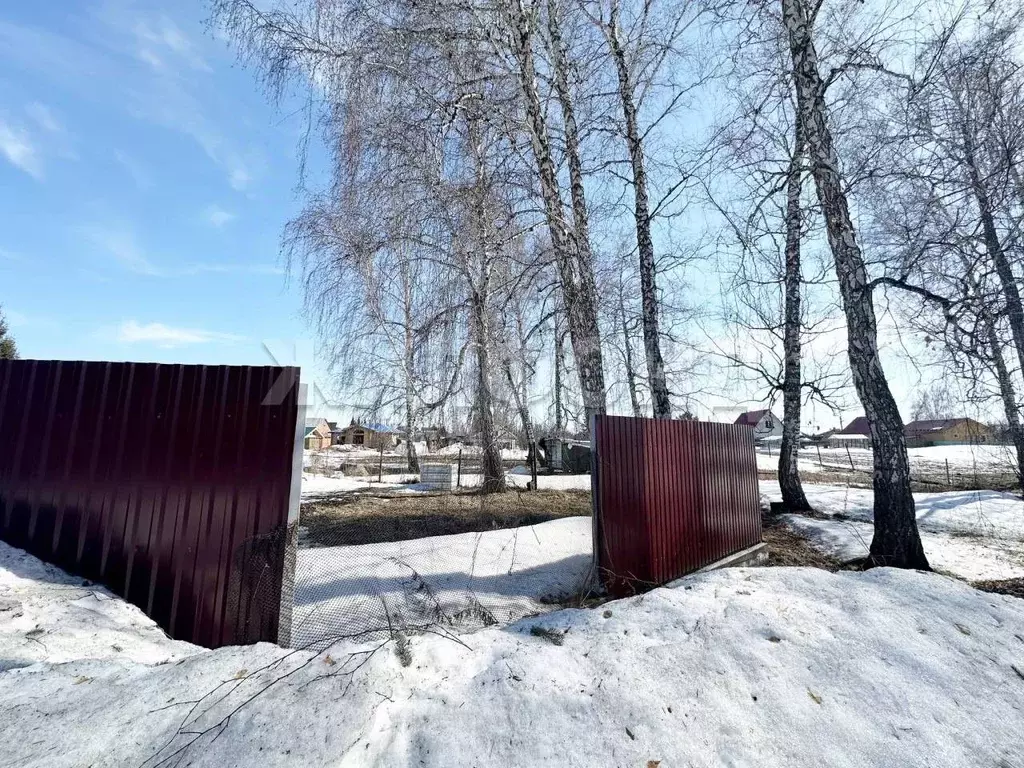 Участок в Новосибирская область, Новосибирский район, с. Боровое ул. ... - Фото 2