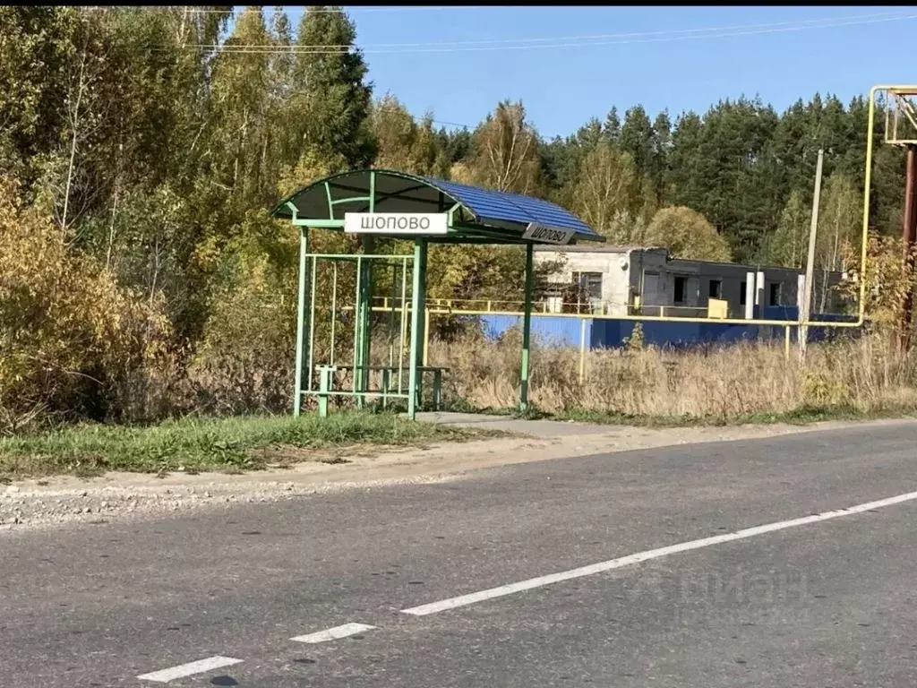 Участок в Нижегородская область, Богородский район, д. Шопово ул. ... - Фото 0