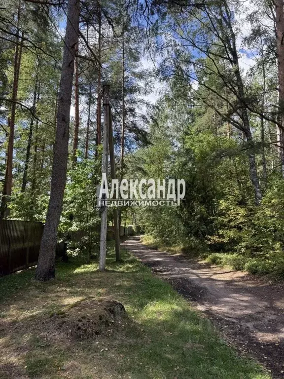 Участок в Ленинградская область, Выборгский район, Полянское с/пос, ... - Фото 2