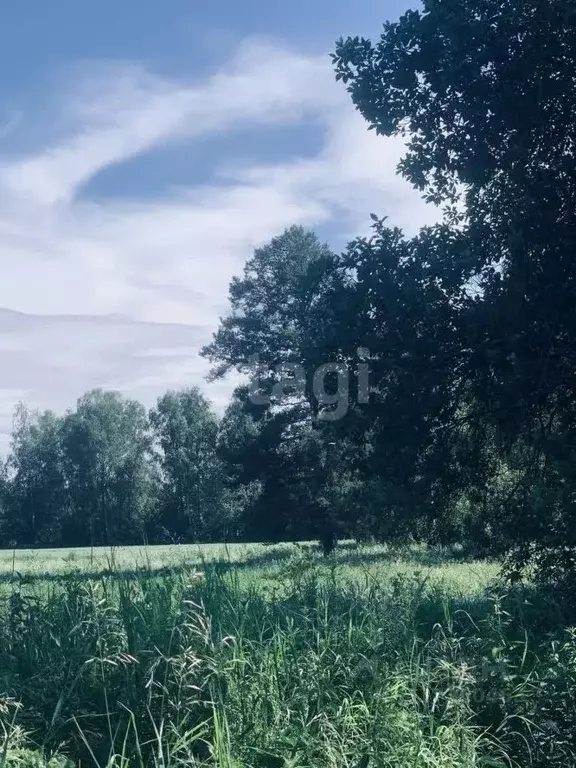 Участок в Свердловская область, Сысертский муниципальный округ, СНТ ... - Фото 1