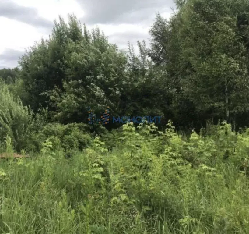 Участок в Нижегородская область, Нижний Новгород Александровская сл.,  ... - Фото 1