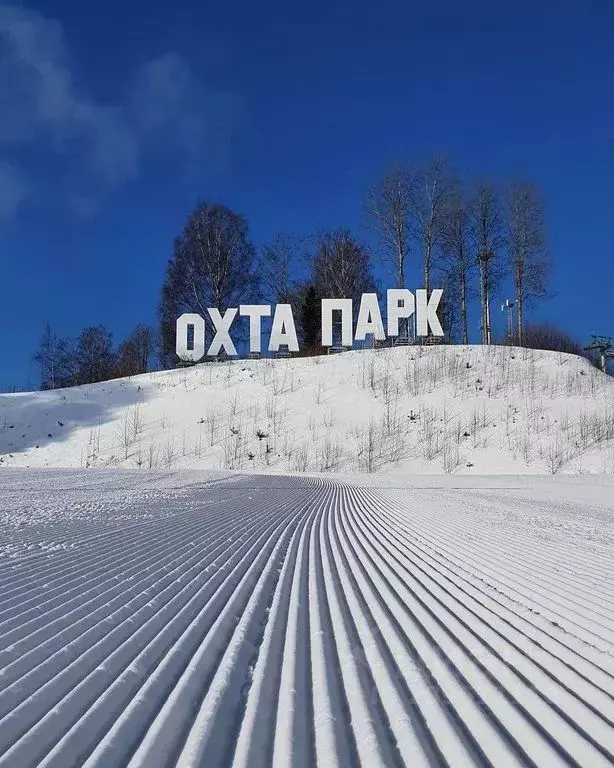 1-к кв. Ленинградская область, Всеволожский район, Бугровское ... - Фото 0