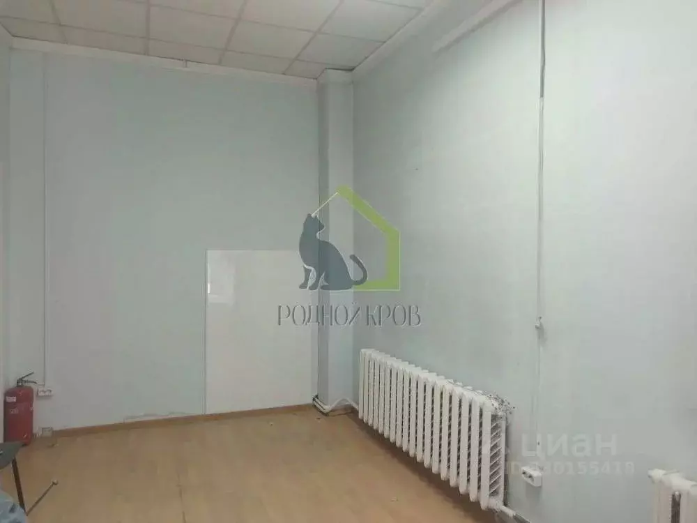 Офис в Самарская область, Сызрань ул. Кирова, 46 (38 м) - Фото 1