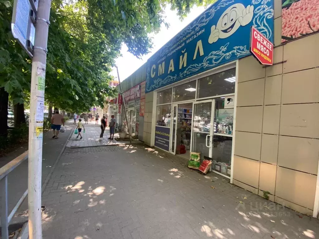 Помещение свободного назначения в Краснодарский край, Анапа Парковая ... - Фото 2