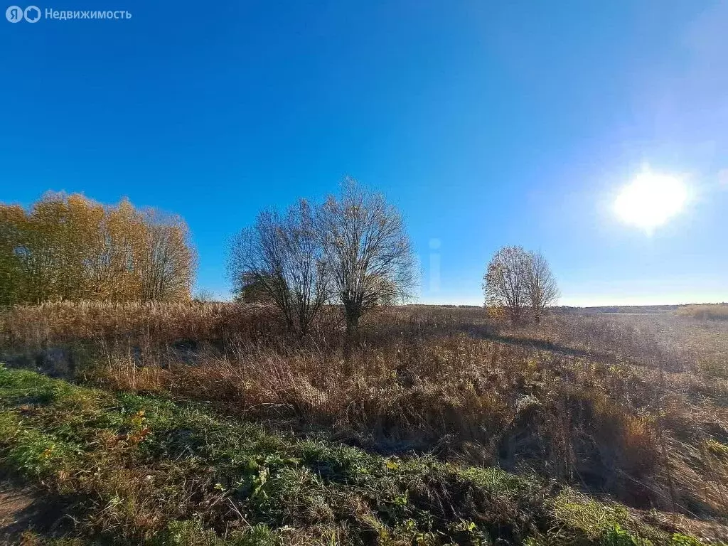 Участок в сельское поселение Чуровское, деревня Разбуй (17.5 м) - Фото 0