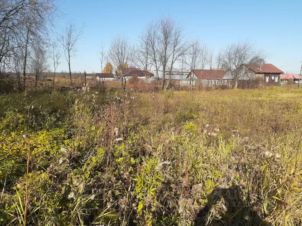 Участок в Пермский край, Пермский муниципальный округ, с. Кояново ул. ... - Фото 2