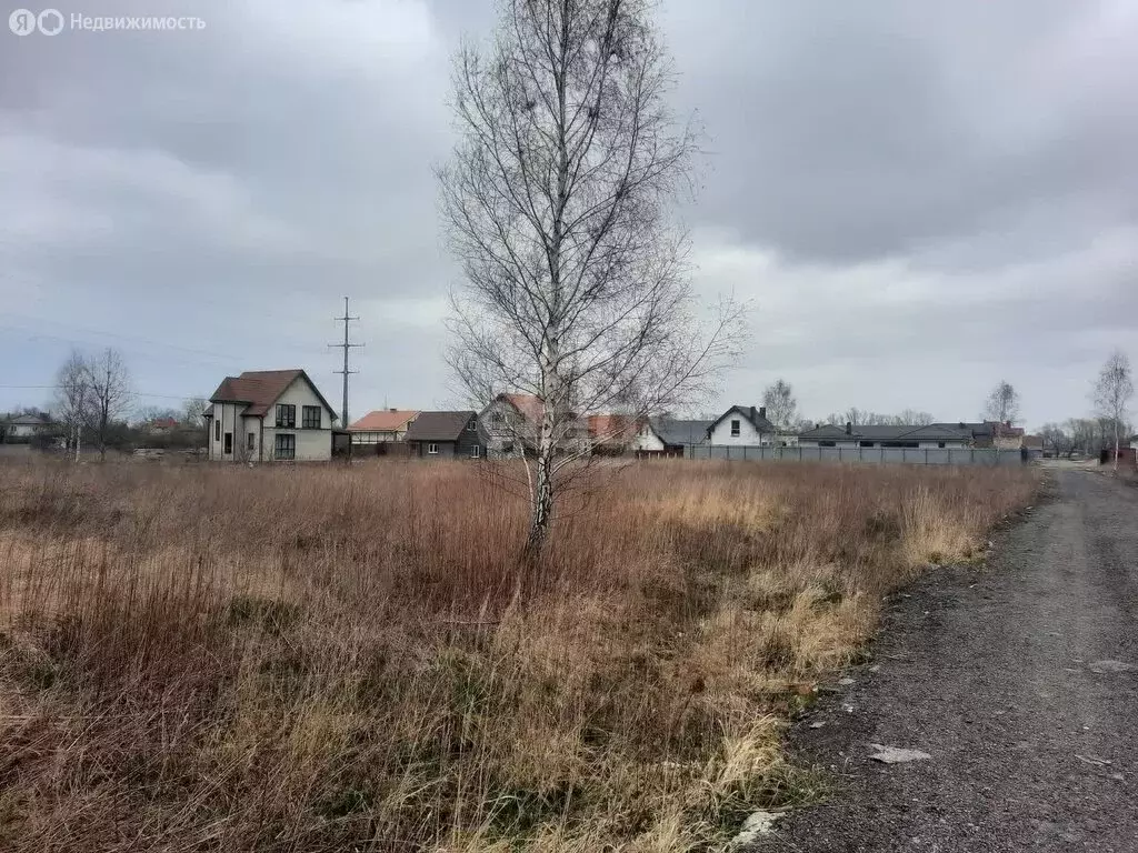 Участок в Зеленоградск, посёлок Вишнёвое (8 м) - Фото 1
