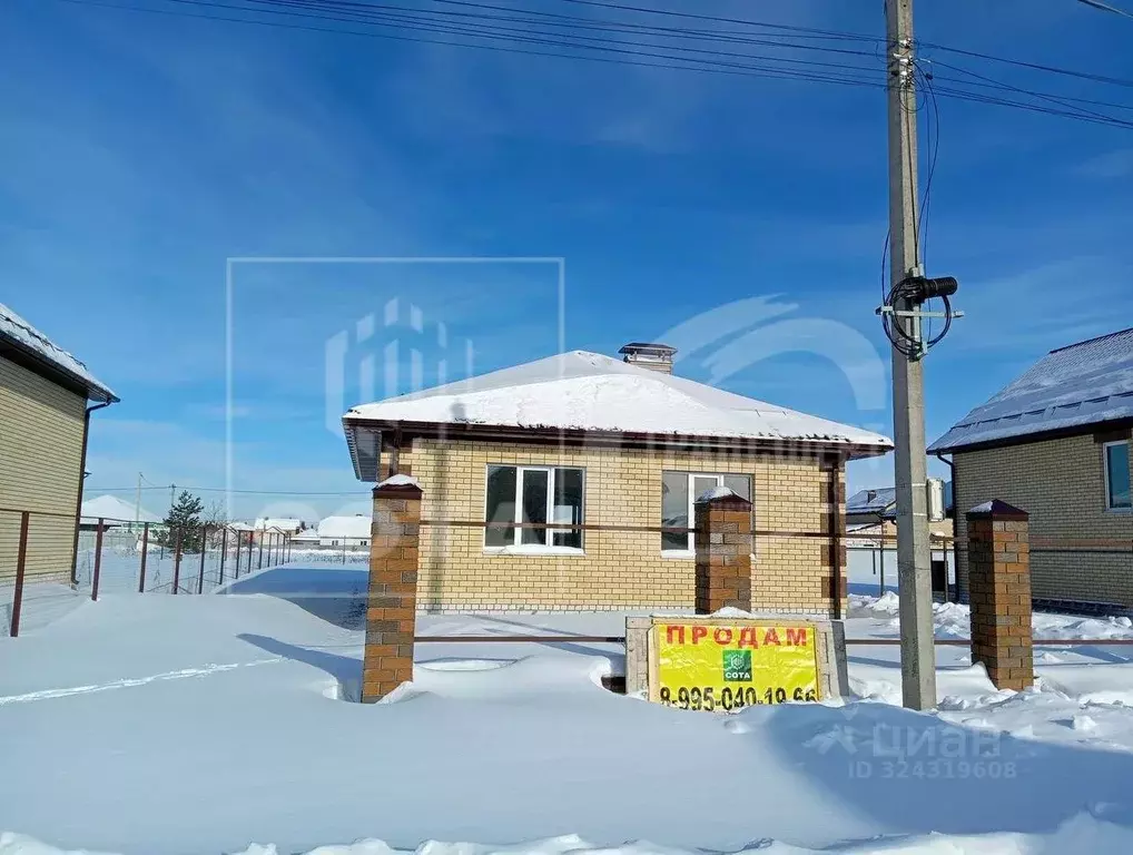 Дом в Воронежская область, с. Новая Усмань ул. Мосина, 65 (90 м) - Фото 2