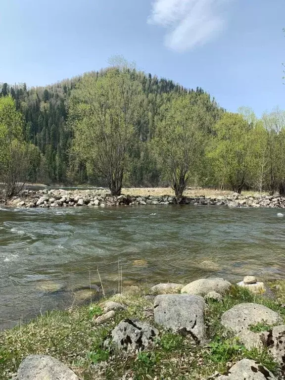 Участок в Алтай, Турочакский район, с. Артыбаш  (10.0 сот.) - Фото 2