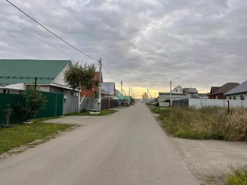 Участок в Тюменская область, Тюменский муниципальный округ, с. Борки  ... - Фото 1