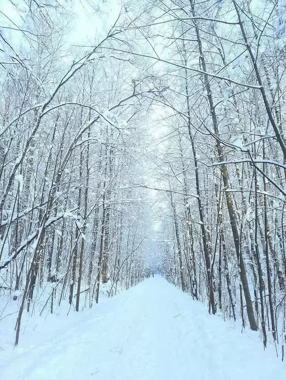 Квартира-студия: Всеволожск, Пугоревский проезд, 1к2 (22.2 м) - Фото 1