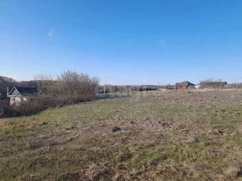 Участок в Саратовская область, Балашовский район, с. Репное  (10.1 ... - Фото 1