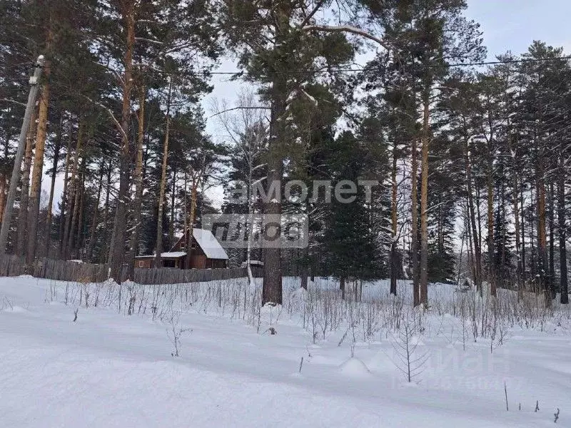 Участок в Томская область, Томский район, Богашевское с/пос, Нефтяник ... - Фото 1