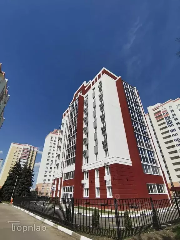 1-к кв. Орловская область, Орел ул. Андрианова, 33 (36.2 м) - Фото 1