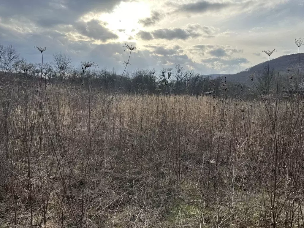 Участок в Краснодарский край, Северский район, Ильское городское ... - Фото 2